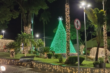 Foto relacionada - Festival Albertina de Luz 2025 transforma o Natal em turismo, cultura e encontros em família