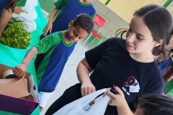 Foto - Horta dos Alunos da Escola Antonio Ferreira 