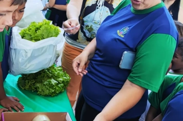 Foto - Horta dos Alunos da Escola Antonio Ferreira 