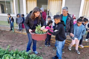 Foto - Horta Projeto Ensino Integral em agosto de  2022