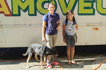 Castração de cães e gatos segue a todo vapor em Albertina!