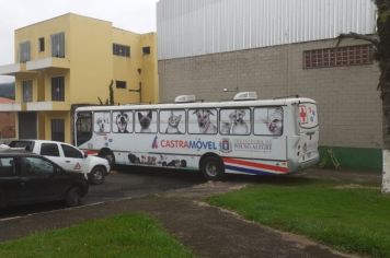 Castramóvel em Albertina