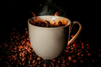  Concurso valoriza o café de Albertina e seleciona melhores produtores da cidade