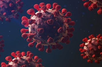 Medidas de Combate ao Coronavírus Covid - 19