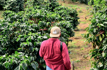 Garanta acesso a crédito rural e benefícios emitindo seu CAF gratuitamente em Albertina