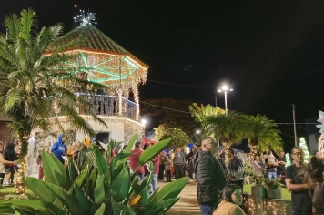 Albertina de Luz 2025: o Natal começou e iluminou a cidade!