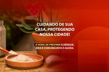 Combate ao Mosquito: Cuidados Essenciais na Época de Chuva