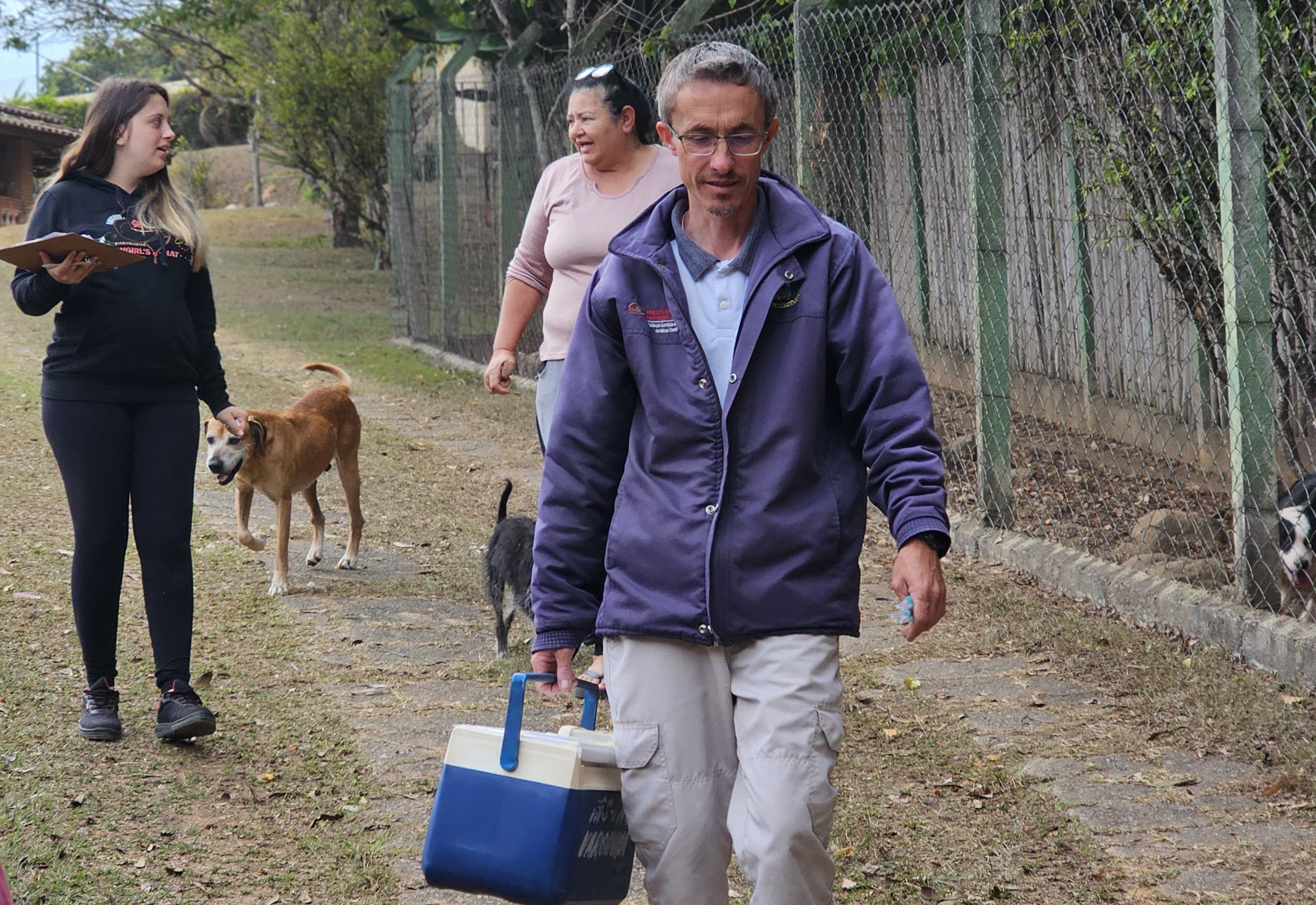Vacinação contra a raiva já começou na zona rural
