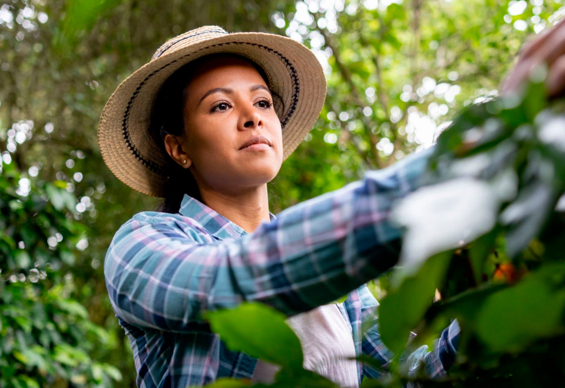 Mulheres que movem o campo: força, garra e dedicação no Dia Internacional da Mulher Rural