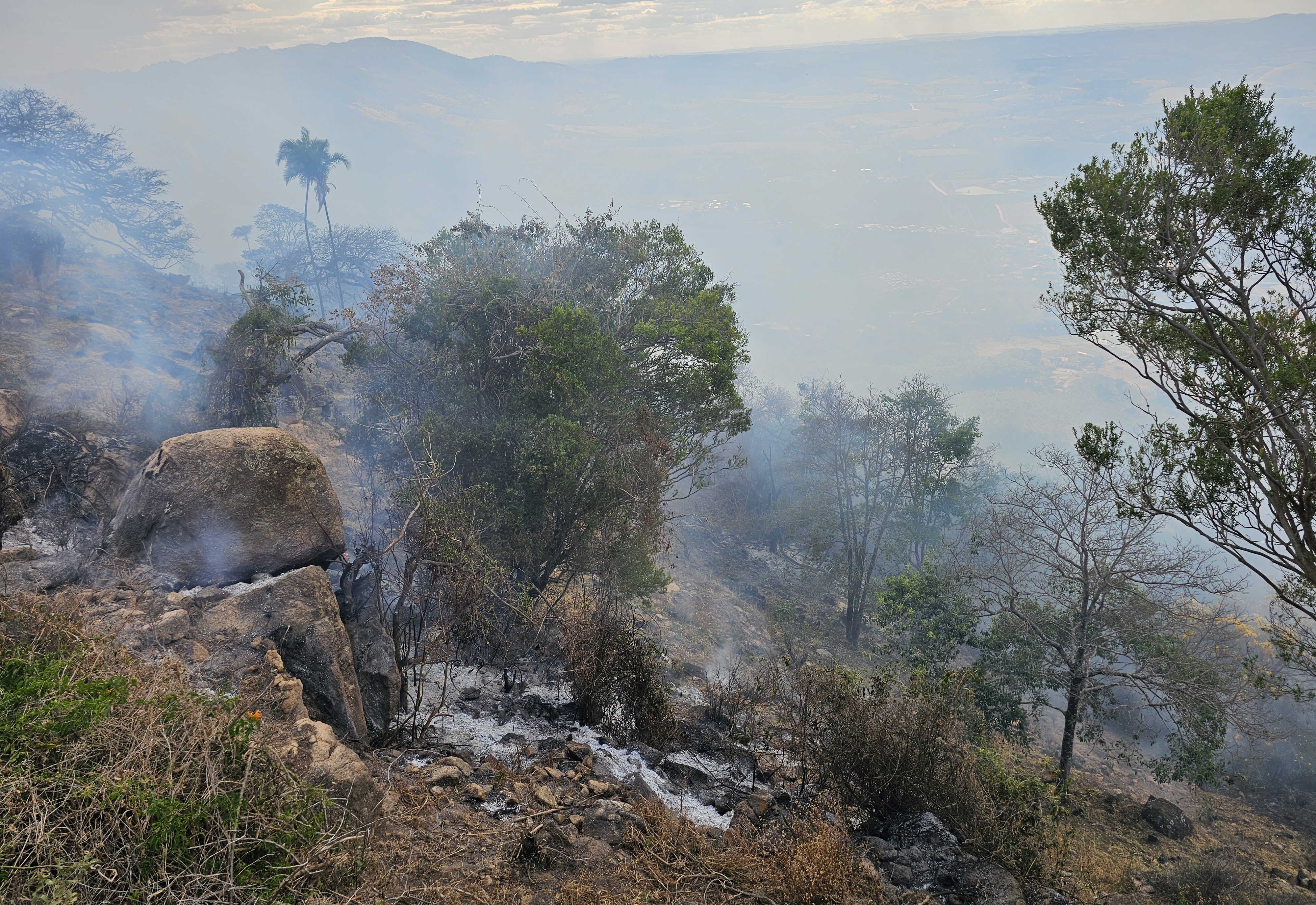 Atenção Redobrada: Queimadas Ameaçam Nossa Região