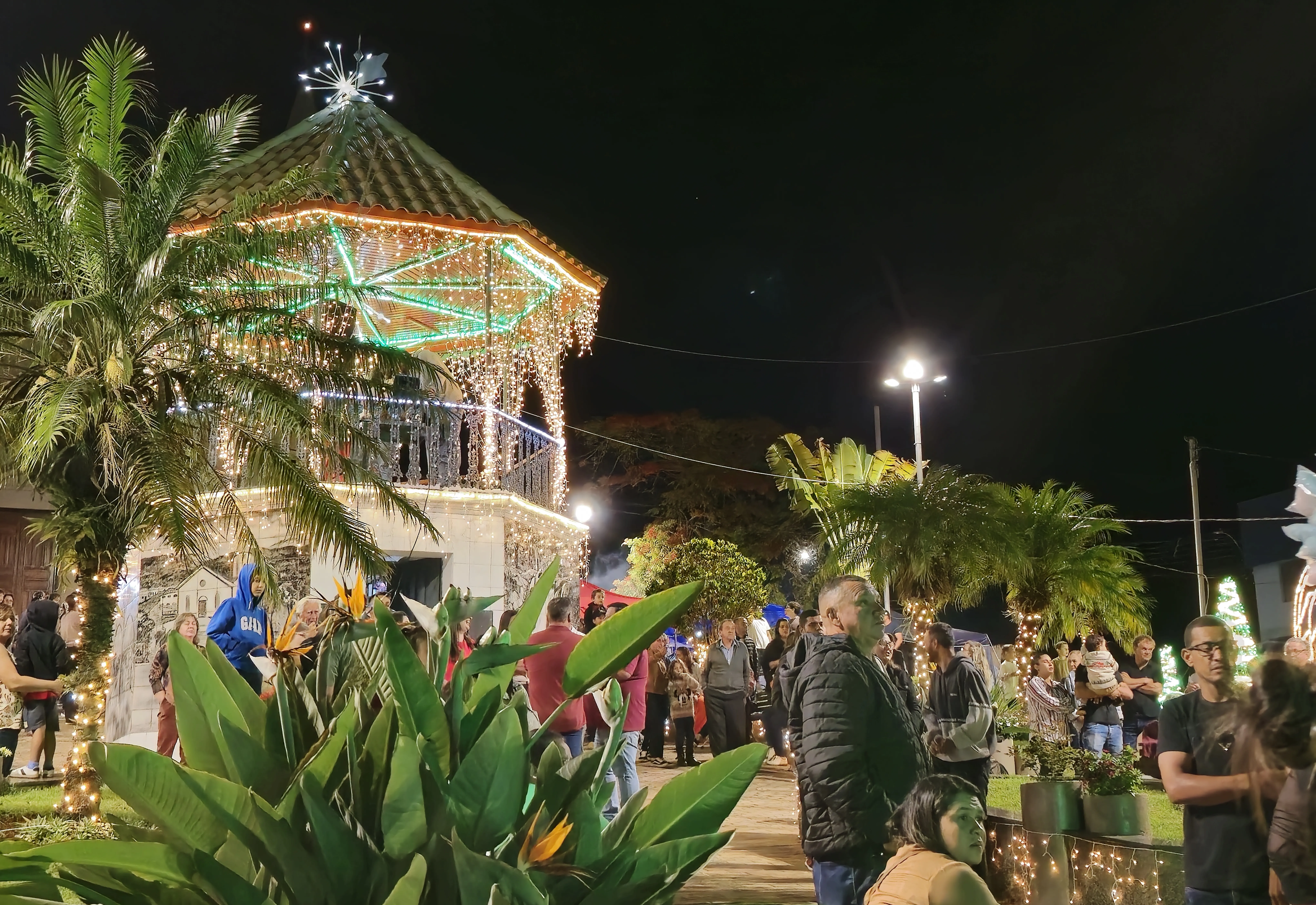 Albertina de Luz 2025: o Natal começou e iluminou a cidade!