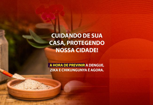 Combate ao Mosquito: Cuidados Essenciais na Época de Chuva